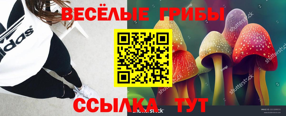 Галлюциногенные грибы мицелий Златоуст